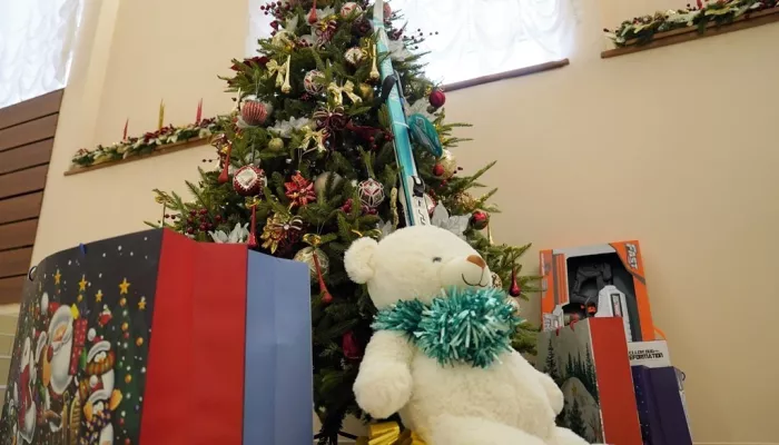 Елка желаний: барнаульские депутаты подготовили новогодние сюрпризы для детей