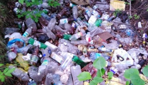 Свалка мусора обнаружена в барнаульском парке Лесная сказка