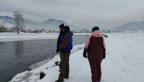 В Республике Алтай продолжаются поиски 18-летней жительницы села Онгудай