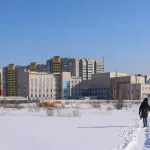 В Алтайском крае продали больше квартир в новостройках на фоне падения ипотеки