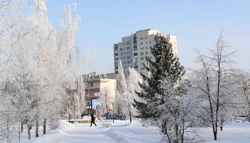 На Алтайский край к выходным надвигаются 30-градусные морозы