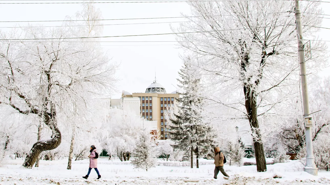 Небольшой снег и до -19: какая погода будет в Алтайском крае 9 января