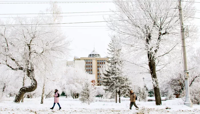Небольшой снег и до -16: какая погода будет в Алтайском крае 9 января