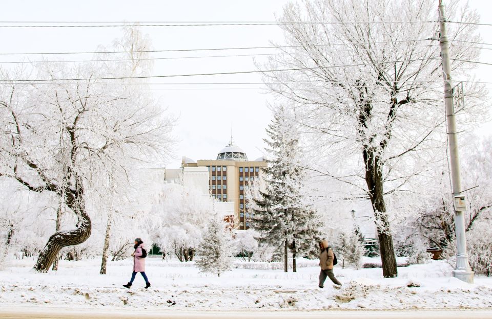 Недвижимость. Барнаул. Зима