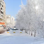 Весна в Алтайском крае начнется с морозов под -40 градусов