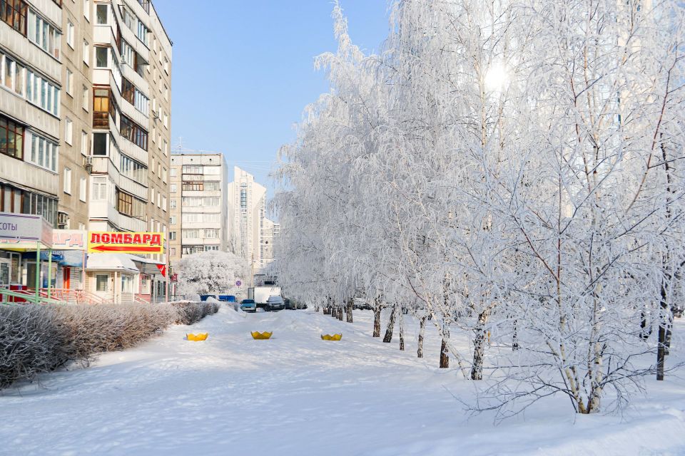 Недвижимость. Барнаул. Зима