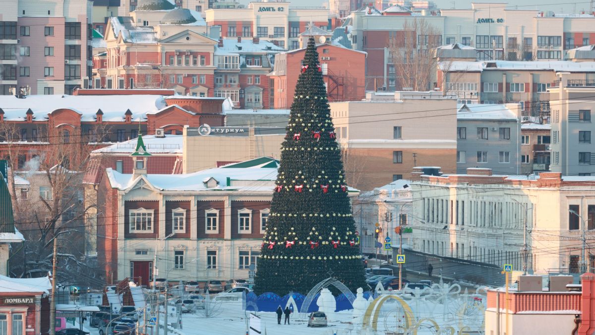 Главная ёлка города на площади Свободы. Вид с территории Нагорного парка