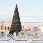 Для Барнаула купят новую новогоднюю елку: как она будет выглядеть