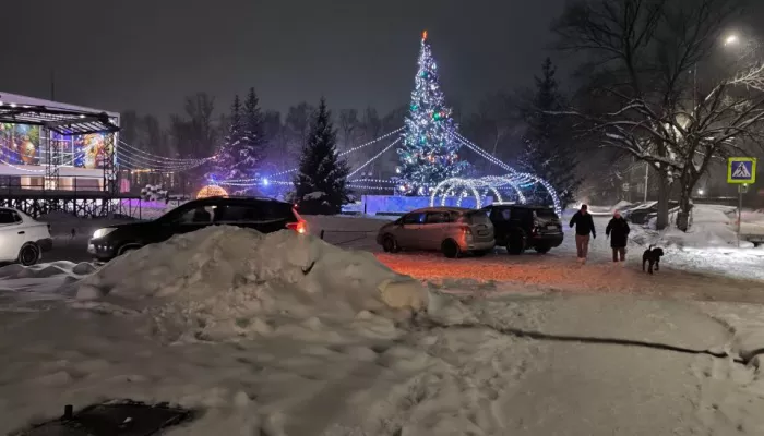Бийчане пожаловались на неказистые новогодние городки. Фото
