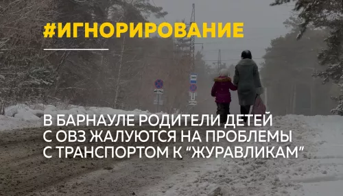 Дети с ОВЗ в Барнауле добираются до реабилитационного центра Журавлики пешком