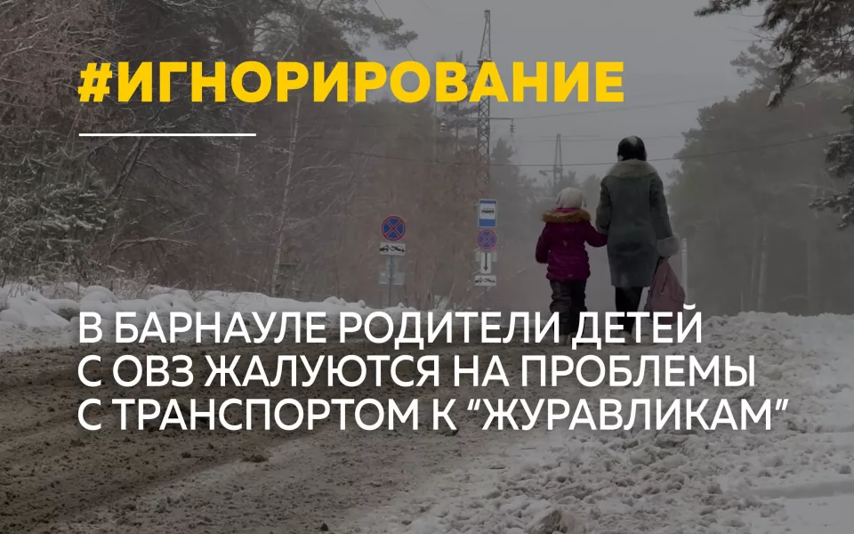 Дети с ОВЗ в Барнауле добираются до реабилитационного центра Журавлики пешком