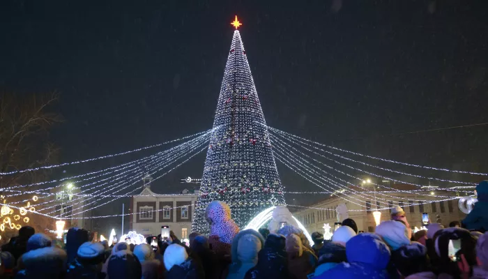 Главная новогодняя елка зажглась для барнаульцев. Фоторепортаж