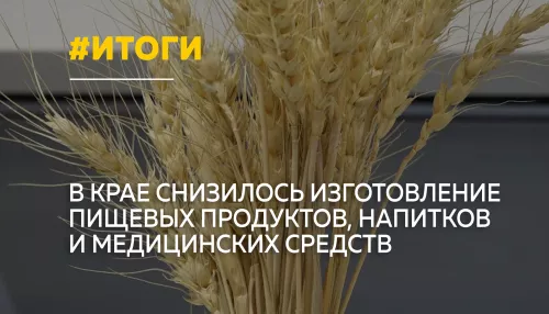 Производство продуктов, напитков и лекарств в Алтайском крае снизилось почти на 3%