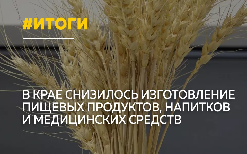 Производство продуктов, напитков и лекарств в Алтайском крае снизилось почти на 3%
