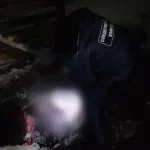 Правду раскрыл сын: что известно о богородском маньяке и убийствах нянь