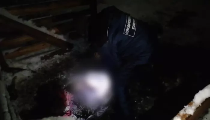 Правду раскрыл сын: что известно о богородском маньяке и убийствах нянь