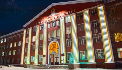 Более километра светодиодной ленты использовали для новогоднего украшения зданий АГАУ