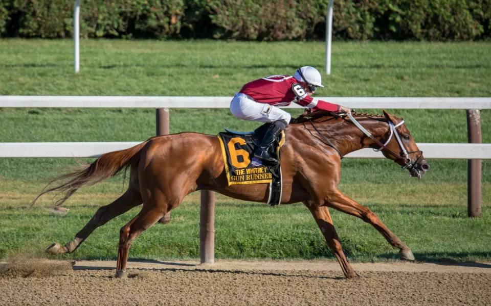 Конец СВО: предсказания Тамары Глобы для России и мира на 2026 год