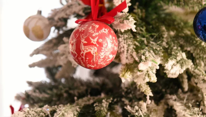 Глава Барнаула побывал в гостях у многодетной семьи Брит и поздравил их с Новым годом