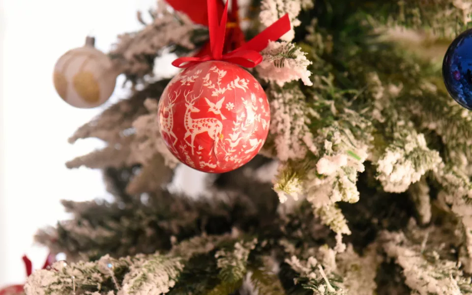 Глава Барнаула побывал в гостях у многодетной семьи Брит и поздравил их с Новым годом