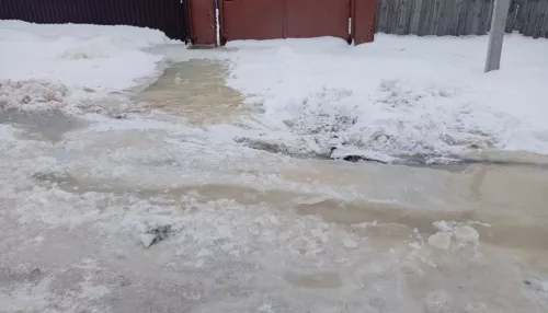 Гаражи, дворы и бани на улице в Барнауле уже две недели топит после уборки снега