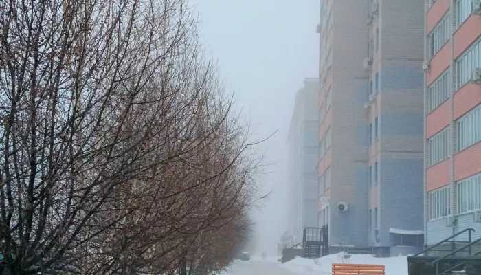 Завораживающая тишина: Барнаул накрыло одеялом утреннего тумана. Фото