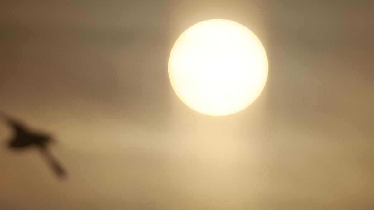 "Растущее" Солнце в небе над Барнаулом 