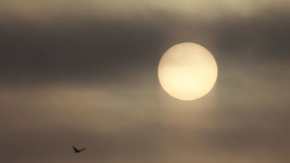 "Растущее" Солнце в небе над Барнаулом 