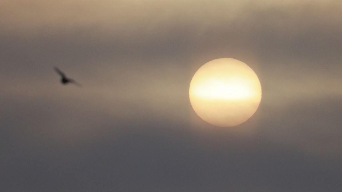 "Растущее" Солнце в небе над Барнаулом 