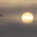 Будет ли магнитная буря после мощной вспышки на Солнце в сторону Земли