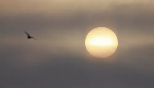 Будет ли магнитная буря после мощной вспышки на Солнце в сторону Земли