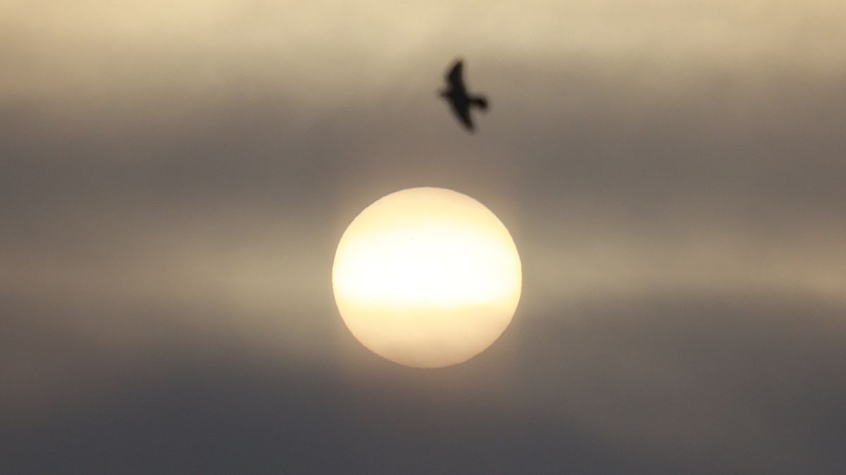 "Растущее" Солнце в небе над Барнаулом 