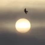 Самый сильный в XXI веке радиационный шторм вызвал мощную магнитную бурю на Земле