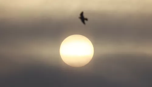 Самый сильный в XXI веке радиационный шторм вызвал мощную магнитную бурю на Земле