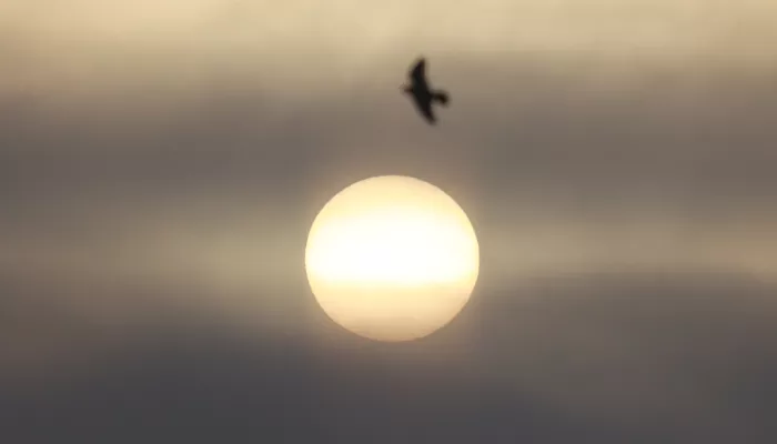 Самый сильный в XXI веке радиационный шторм вызвал мощную магнитную бурю на Земле