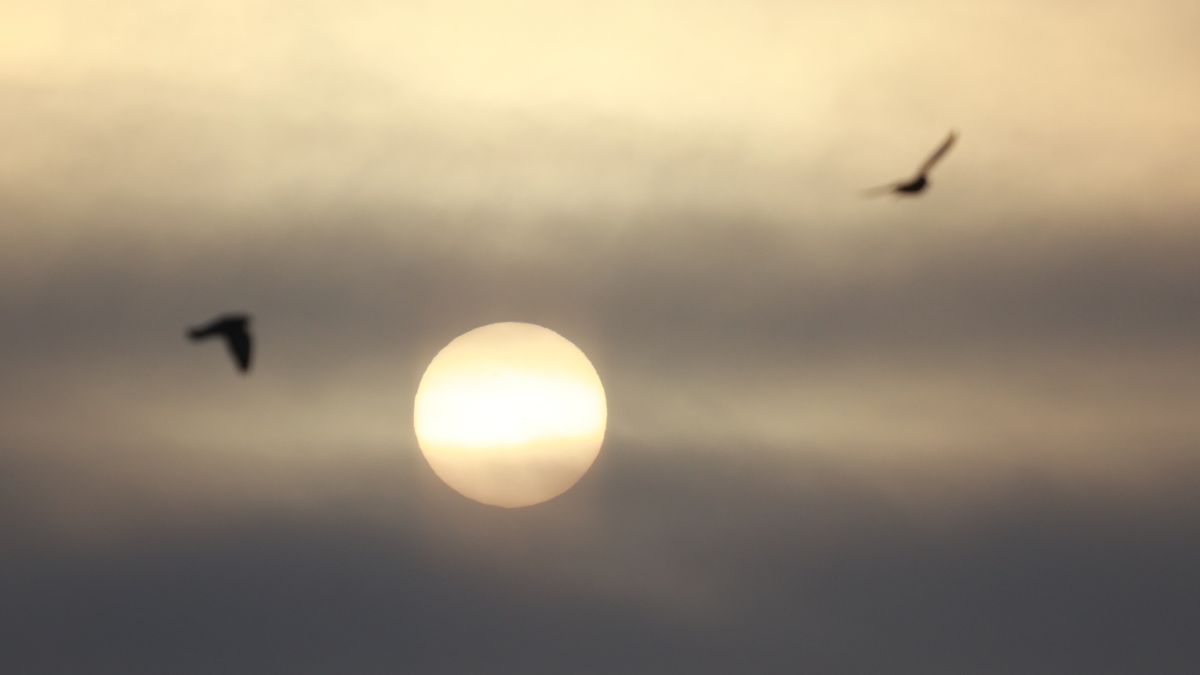 "Растущее" Солнце в небе над Барнаулом 