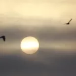 Апрельские магнитные бури: в какие дни их следует ждать до конца месяца. Прогноз