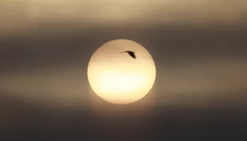 Весеннее равноденствие. Что можно и нельзя делать 20 марта