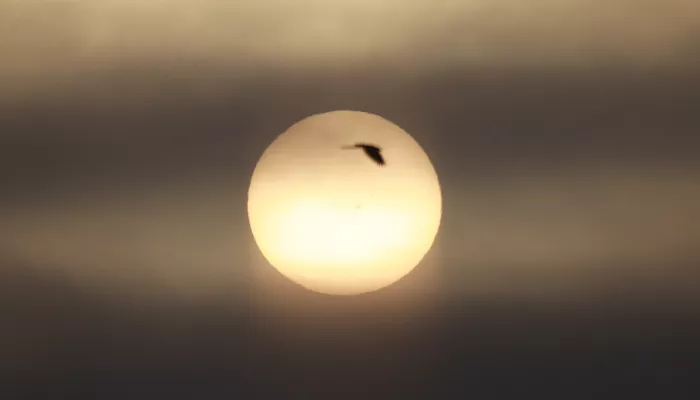 Весеннее равноденствие. Что можно и нельзя делать 20 марта