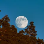 Алтайский заповедник встретил новый год Волчьей луной. Фото