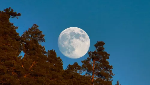 Алтайский заповедник встретил новый год Волчьей луной. Фото