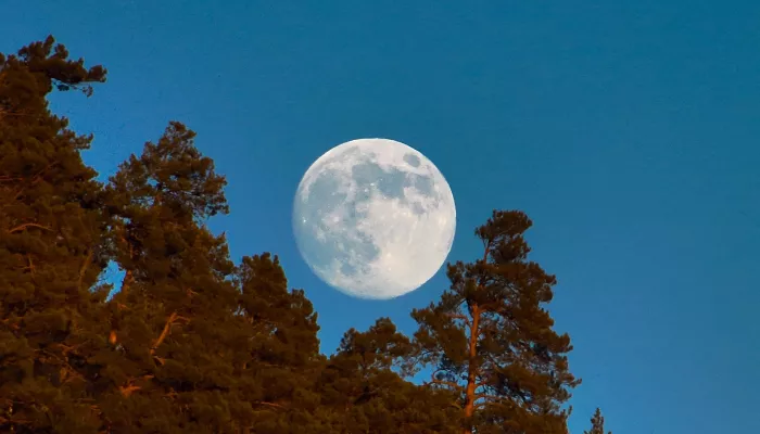 Алтайский заповедник встретил новый год Волчьей луной. Фото