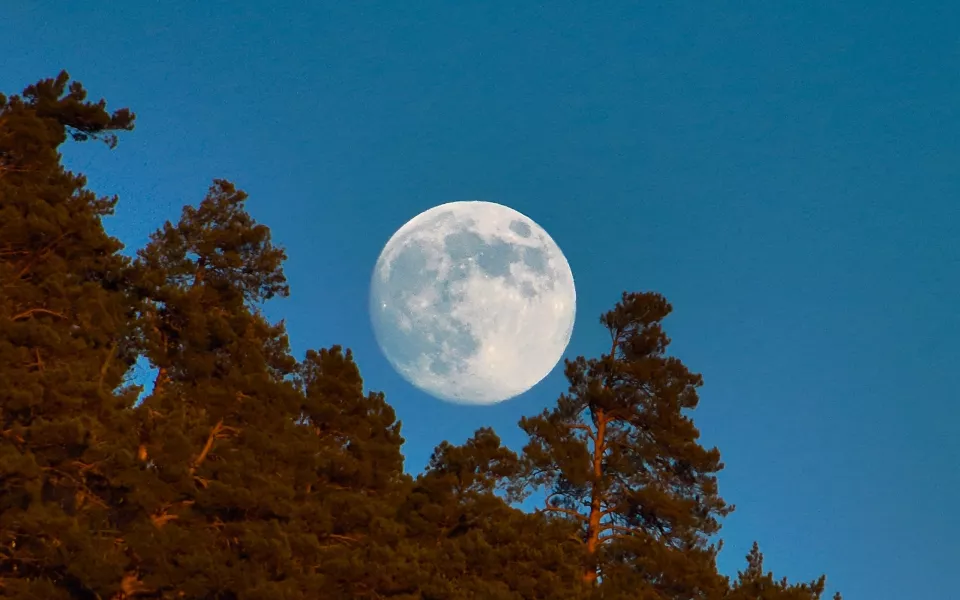Алтайский заповедник встретил новый год Волчьей луной. Фото