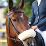 15-летняя жительница Алтайского края получила тяжелую травму головы на конеферме