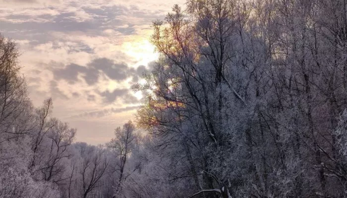 Сказочные пейзажи: жительница Новоалтайска запечатлела окрестности города