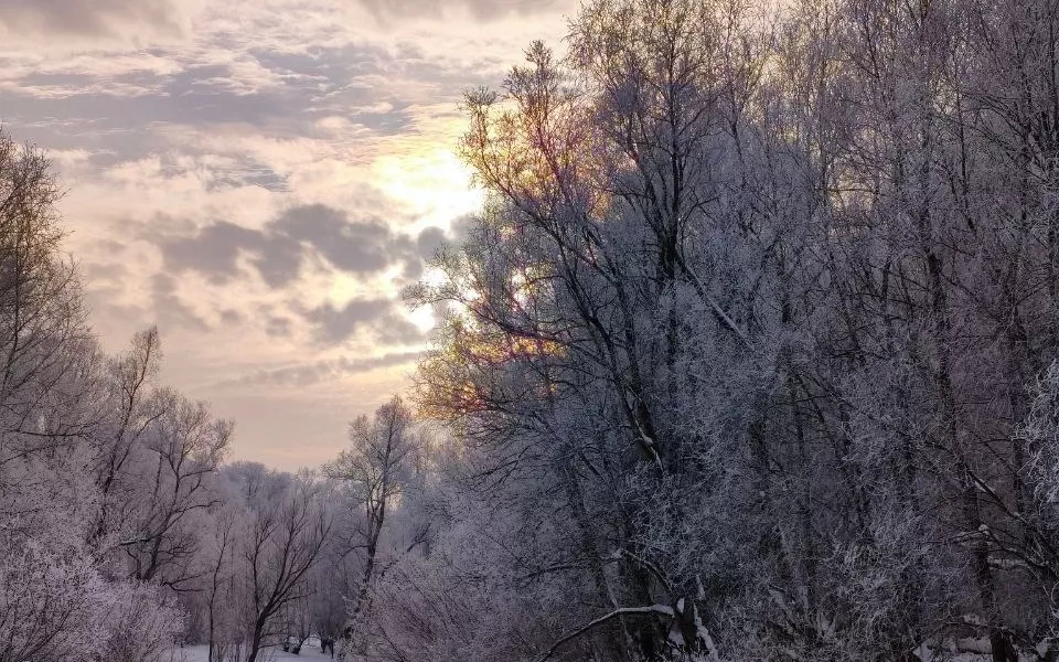 Сказочные пейзажи: жительница Новоалтайска запечатлела окрестности города