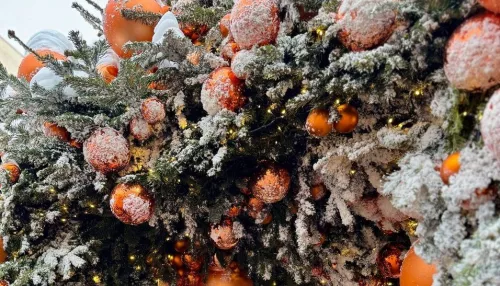 Жительница Барнаула поделилась сказочными кадрами новогодней Москвы. Фото