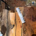 Жителя Республики Алтай арестовали за смертельные побои на застолье