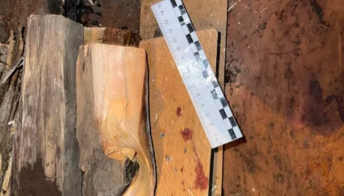 Жителя Республики Алтай арестовали за смертельные побои на застолье