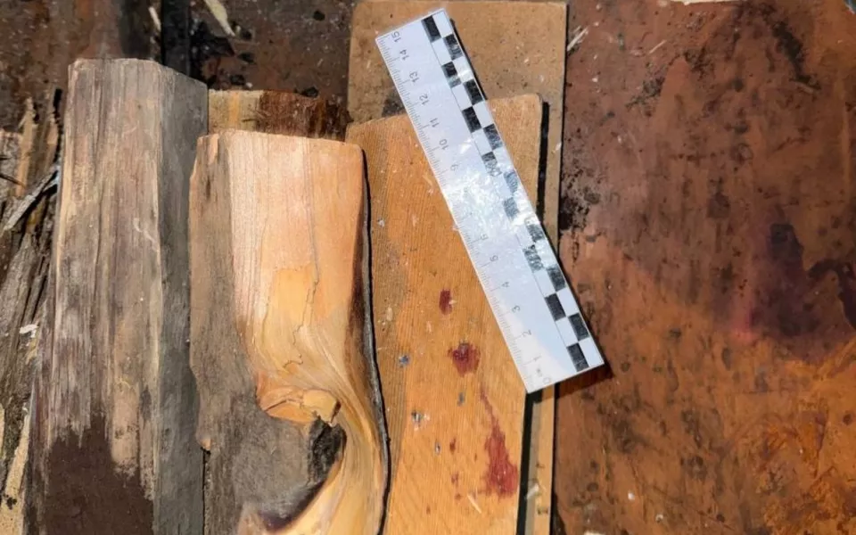 Жителя Республики Алтай арестовали за смертельные побои на застолье